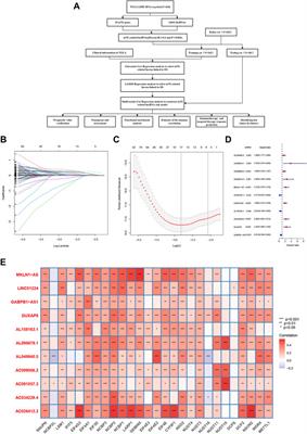 Predicting prognosis and immune responses in hepatocellular carcinoma based on N7-methylguanosine-related long noncoding RNAs